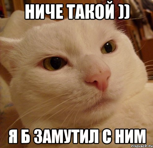Ниче такой )) Я б замутил с ним, Мем Дерзкий котэ