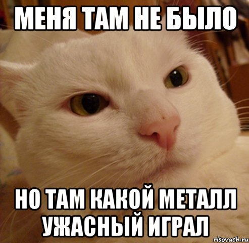 Меня там не было Но там какой металл ужасный играл, Мем Дерзкий котэ