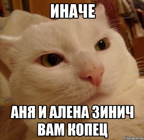 иначе аня и алена зинич вам копец, Мем Дерзкий котэ