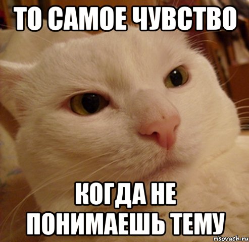То самое чувство Когда не понимаешь тему, Мем Дерзкий котэ