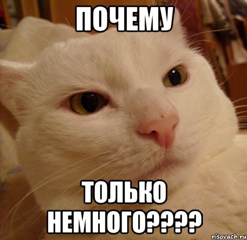 почему только немного????, Мем Дерзкий котэ