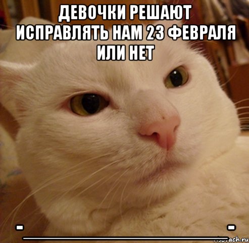 девочки решают исправлять нам 23 февраля или нет -_______________-, Мем Дерзкий котэ