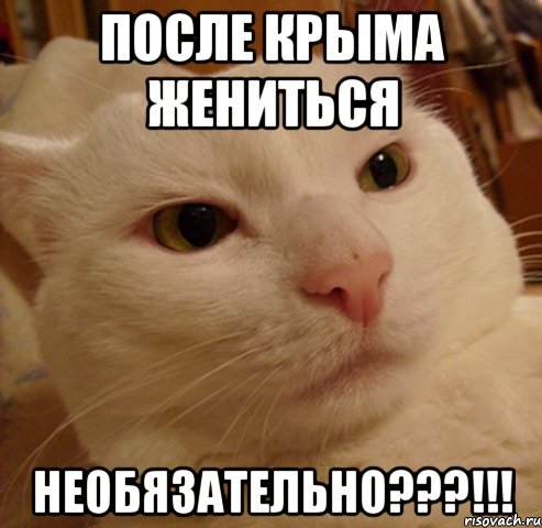 после крыма жениться необязательно???!!!, Мем Дерзкий котэ