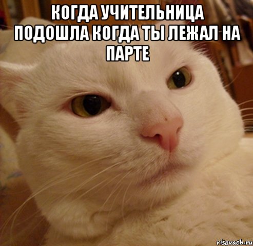 Когда учительница подошла когда ты лежал на парте , Мем Дерзкий котэ