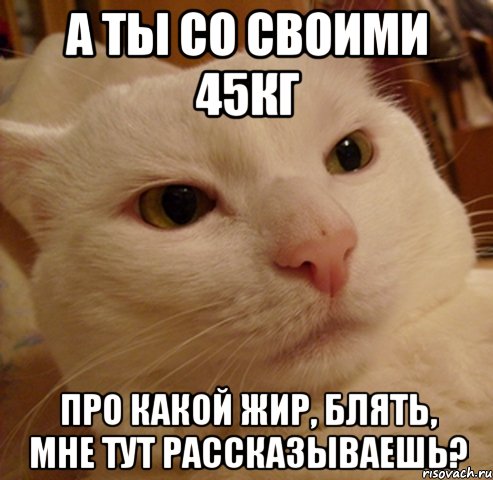 а ты со своими 45кг про какой жир, блять, мне тут рассказываешь?, Мем Дерзкий котэ
