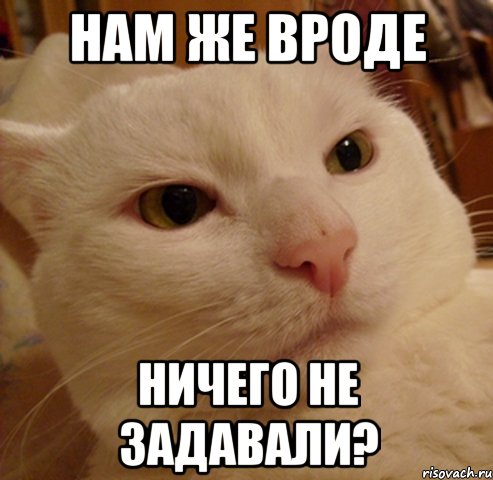 Нам же вроде Ничего не задавали?, Мем Дерзкий котэ