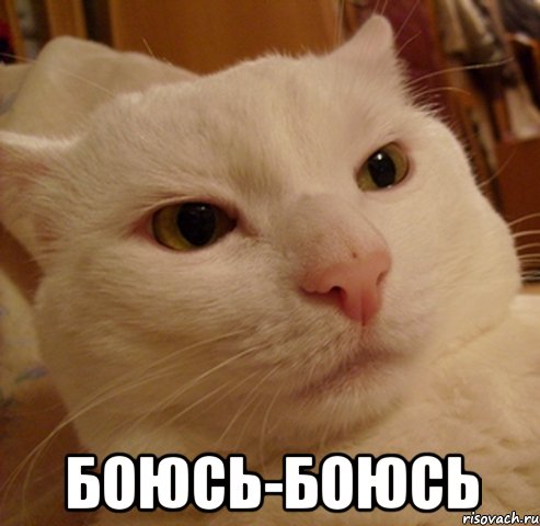  боюсь-боюсь