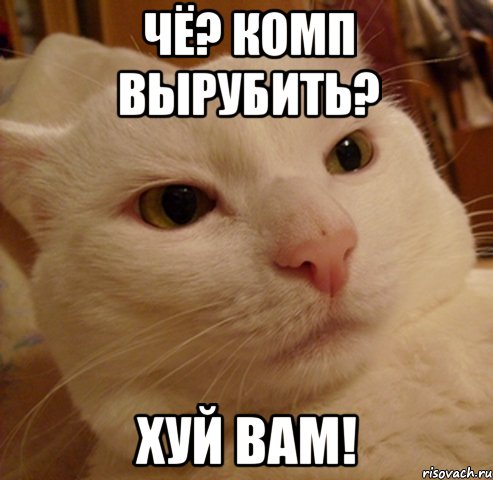 Чё? Комп вырубить? Хуй вам!, Мем Дерзкий котэ