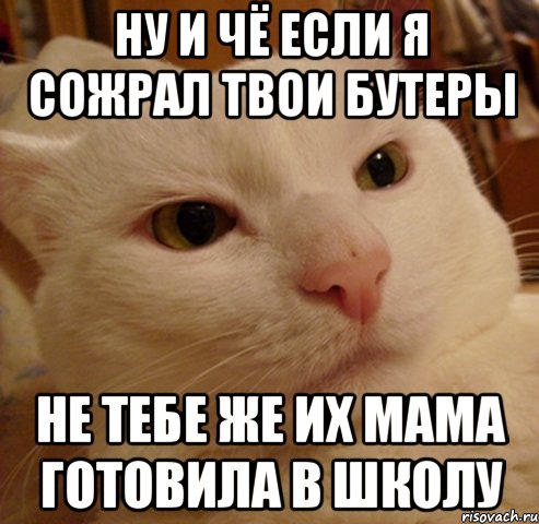 ну и чё если я сожрал твои бутеры не тебе же их мама готовила в школу, Мем Дерзкий котэ