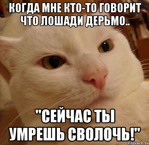 Когда мне кто-то говорит что лошади дерьмо.. "Сейчас ты умрешь сволочь!"