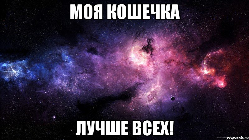 моя кошечка лучше всех!, Мем девушки