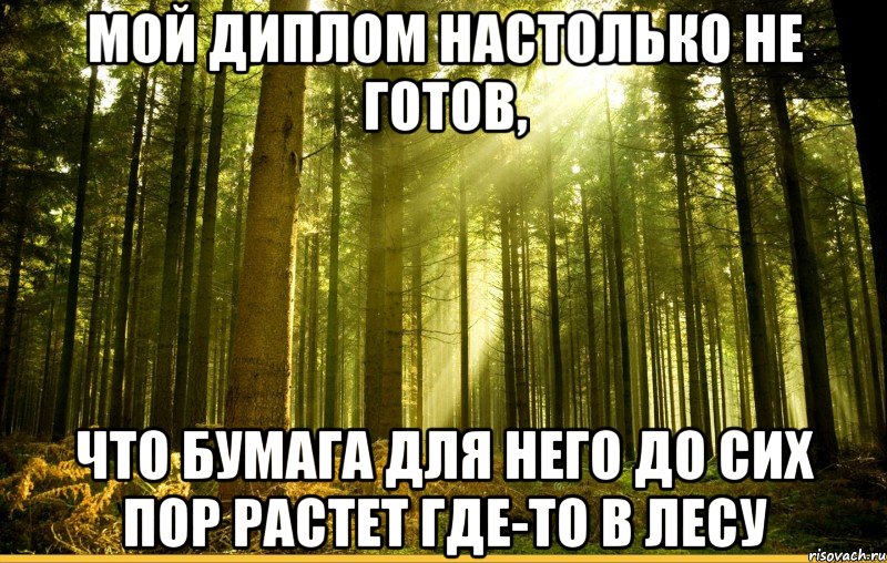 мой диплом настолько не готов, что бумага для него до сих пор растет где-то в лесу, Мем диплом