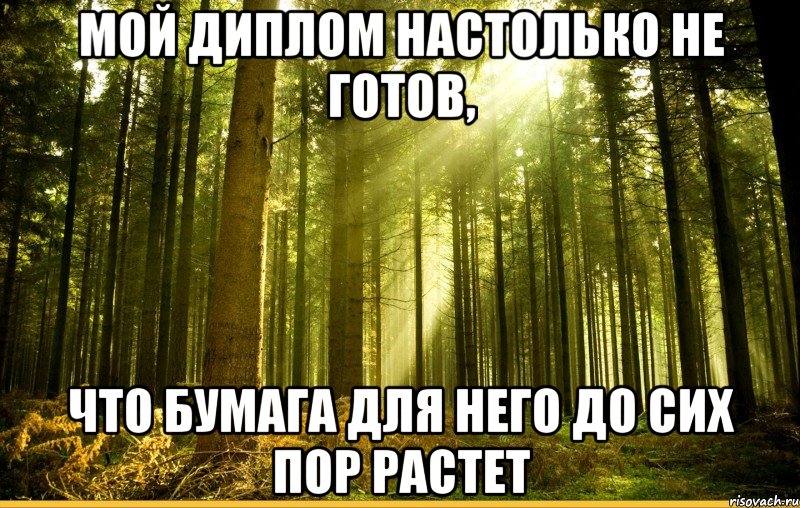 мой диплом настолько не готов, что бумага для него до сих пор растет, Мем диплом