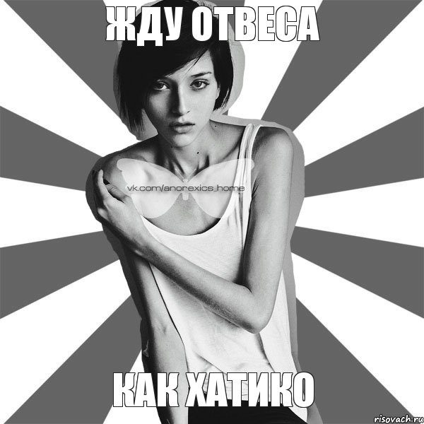 Жду отвеса как хатико