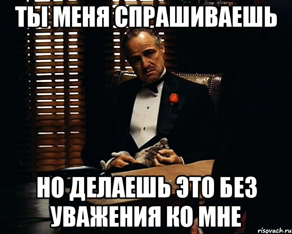 Ты меня спрашиваешь Но делаешь это без уважения ко мне, Мем Дон Вито Корлеоне