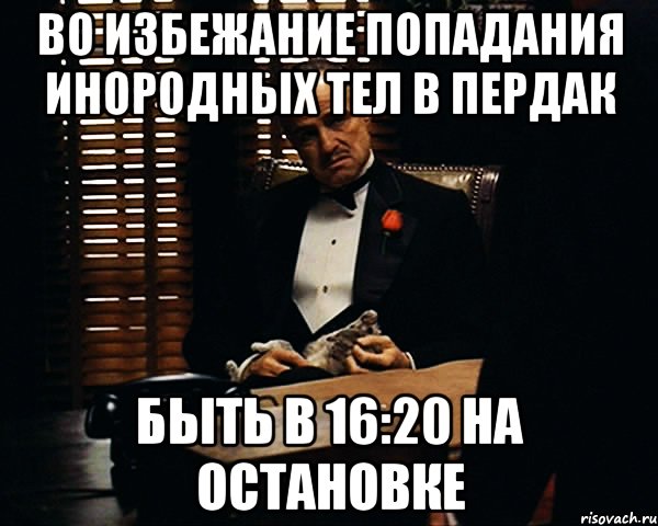 Во избежание попадания инородных тел в пердак Быть в 16:20 на остановке, Мем Дон Вито Корлеоне