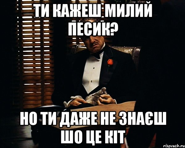 Ти кажеш милий песик? Но ти даже не знаєш шо це кіт, Мем Дон Вито Корлеоне