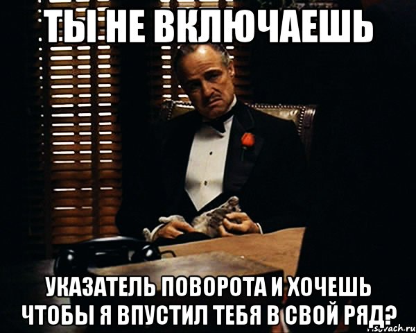 Ты не включаешь указатель поворота и хочешь чтобы я впустил тебя в свой ряд?, Мем Дон Вито Корлеоне