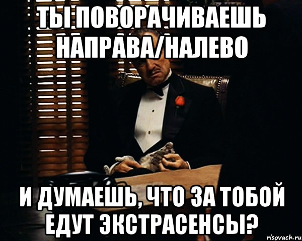 Ты поворачиваешь направа/налево и думаешь, что за тобой едут экстрасенсы?, Мем Дон Вито Корлеоне