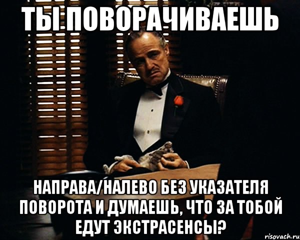 Ты поворачиваешь направа/налево без указателя поворота и думаешь, что за тобой едут экстрасенсы?, Мем Дон Вито Корлеоне