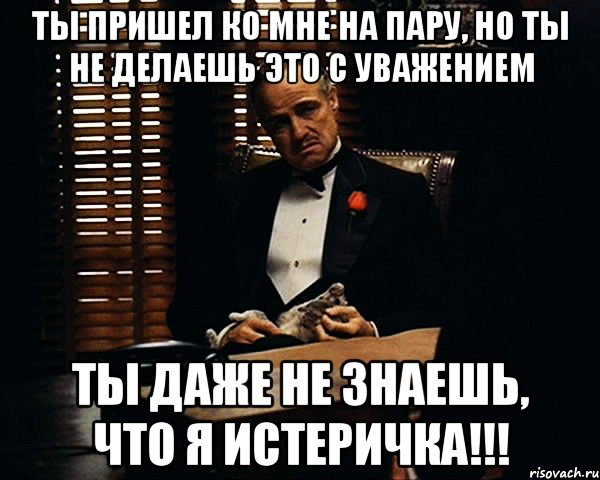 Ты пришел ко мне на пару, но ты не делаешь это с уважением Ты даже не знаешь, что я истеричка!!!, Мем Дон Вито Корлеоне