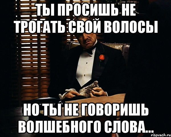 Ты просишь не трогать свой волосы Но ты не говоришь волшебного слова..., Мем Дон Вито Корлеоне