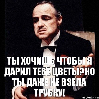 ТЫ хочишь чтобы я дарил тебе цветы?Но ты даже не взела трубку!, Комикс Дон Вито Корлеоне 1