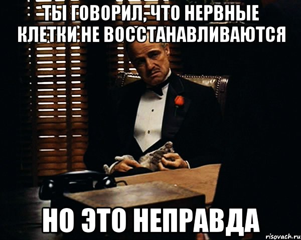 ты говорил, что НЕРВНЫЕ КЛЕТКИ НЕ ВОССТАНАВЛИВАЮТСЯ НО ЭТО НЕПРАВДА, Мем Дон Вито Корлеоне