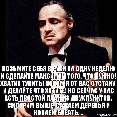 ВОЗЬМИТЕ СЕБЯ В РУКИ НА ОДНУ НЕДЕЛЮ И СДЕЛАЙТЕ МАКСИМУМ ТОГО, ЧТО НУЖНО! ХВАТИТ ТУПИТЬ! ПОТОМ Я ОТ ВАС ОТСТАНУ И ДЕЛАЙТЕ ЧТО ХОТИТЕ! НО СЕЙЧАС У НАС ЕСТЬ ПРОСТОЙ ПЛАН ИЗ ДВУХ ПУНКТОВ. СМОТРИМ ВЫШЕ, САЖАЕМ ДЕРЕВЬЯ И КОПАЕМ БЛЕАТЬ...., Комикс Дон Вито Корлеоне 1