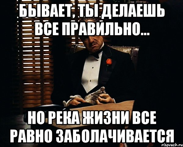 Бывает, ты делаешь все правильно... Но река жизни все равно заболачивается, Мем Дон Вито Корлеоне