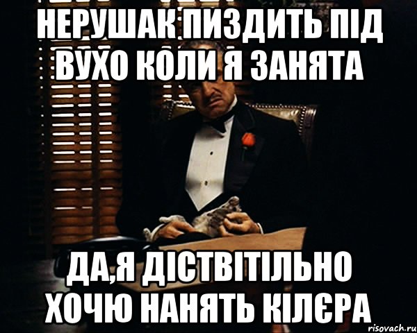 нерушак пиздить під вухо коли я занята да,я діствітільно хочю нанять кілєра, Мем Дон Вито Корлеоне