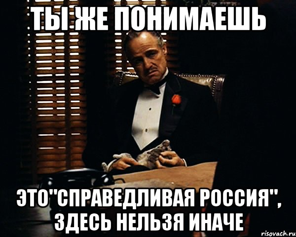 ТЫ ЖЕ ПОНИМАЕШЬ ЭТО"СПРАВЕДЛИВАЯ РОССИЯ", ЗДЕСЬ НЕЛЬЗЯ ИНАЧЕ, Мем Дон Вито Корлеоне