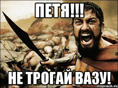 Петя!!! Не трогай вазу!