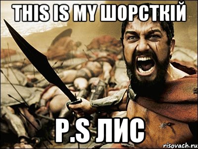 This is my Шорсткій p.s Лис, Мем Это Спарта