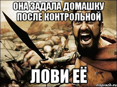 она задала домашку после контрольной лови ЕЁ, Мем Это Спарта