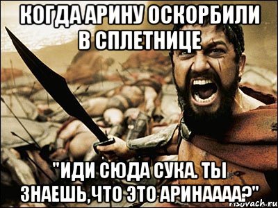 Когда Арину оскорбили в сплетнице "Иди сюда сука. Ты знаешь,что ЭТО АРИНАААА?", Мем Это Спарта