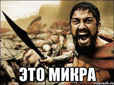  это микра, Мем Это Спарта