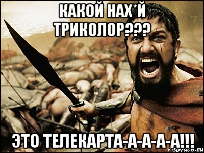 Какой нах*й Триколор??? Это ТЕЛЕКАРТА-А-А-А-А!!!, Мем Это Спарта