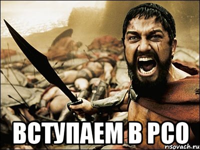  вступаем в РСО, Мем Это Спарта