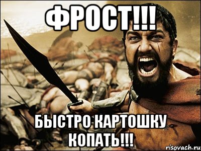 ФРОСТ!!! БЫСТРО КАРТОШКУ КОПАТЬ!!!, Мем Это Спарта