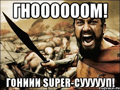 ГНООООООМ! ГОНИИИ SUPER-СУУУУУП!, Мем Это Спарта