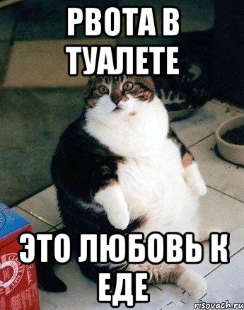 рвота в туалете это любовь к еде