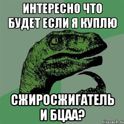 интересно что будет если я куплю сжиросжигатель и бцаа?, Мем Филосораптор