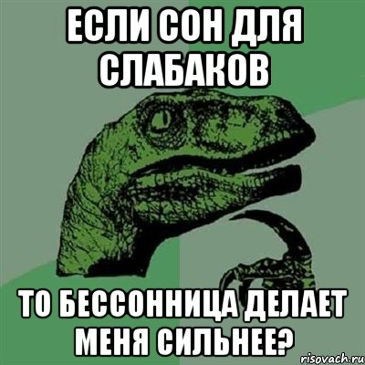 если сон для слабаков то бессонница делает меня сильнее?, Мем Филосораптор