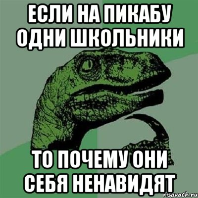 Если на Пикабу одни школьники то почему они себя ненавидят, Мем Филосораптор