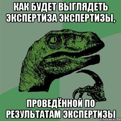 как будет выглядеть экспертиза экспертизы, проведённой по результатам экспертизы, Мем Филосораптор