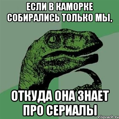 если в каморке собирались только мы, откуда она знает про сериалы, Мем Филосораптор