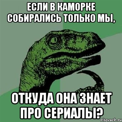 если в каморке собирались только мы, откуда она знает про сериалы?, Мем Филосораптор