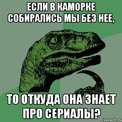 если в каморке собирались мы без нее, то откуда она знает про сериалы?, Мем Филосораптор