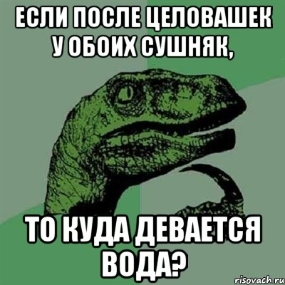 Если после целовашек у обоих сушняк, то куда девается вода?, Мем Филосораптор